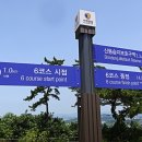 녹진무궁화동산 이미지