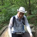 한사랑 이미지