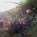 초의선사탄생지(2) 이미지