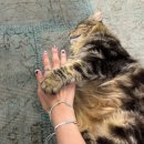 메르하바 | 2030 밍글링 투어 후기(하나투어) : 튀르키예 여행 - 환전부터 선택관광 후기, 9월 옷차림.