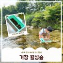 월성숲 아래 화장실 | 대구 근교 아이랑 계곡 고디잡이 거창 월성숲