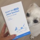랩스프로 | 강아지 관절 영양제 추천 세인트바이오랩스 솔직후기