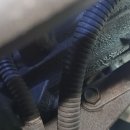 광덕카슐랭 이미지