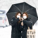나나직구 이미지