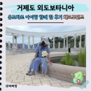 거제맘통신_아주점 | 거제섬여행 외도보타니아와 해금강 유람선 아기랑 유모차 방문 생생 후기