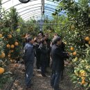 경주시농업기술센터 이미지