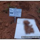 사화근린공원 이미지