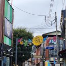 가평 잣고을 시장 잣요리 경연대회 대상 이희자의 자연밥상 콩두레 내돈내산 솔직후기