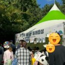 동래읍성 광장 | [부산] 볼거리 가득한 《2023 동래읍성역사축제》 방문후기