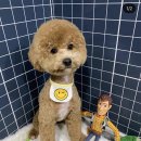 우리함개 이미지