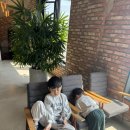 안성 내츄럴리조트 | 만나247 | 안성 내츄럴 리조트 애견동반 대형카페 수제피자 베이커리맛집