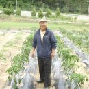 무봉농장 이미지