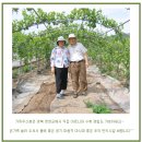 남가네 농장 이미지