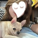 정창수외과동물병원 이미지