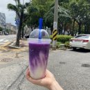 이디야커피 쌍봉점 이미지
