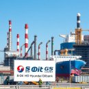 디 에이치 에스 이미지