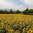 상이농장 이미지