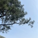 소베라노독채풀빌라 이미지