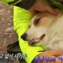 똘똘이농장 이미지