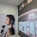 남부대로 | 오산역미용실 추천 '쁘띠꾸아 오산점' 두피관리 말본클리닉 후기