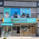 상상동물병원 이미지