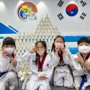 번개태권도 이미지