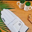 반양 | 네오글러브 반양피 골프장갑 사용후기