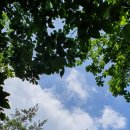 반딧불이 캠핑장 이미지