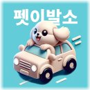 마이제이스 이미지