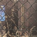 남구-025 네이버블로그