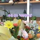 리안블라썸 이미지