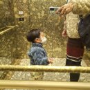 더몽상드 이미지