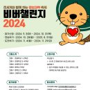 비버코딩 이미지