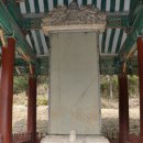 가야산노블레스 | 경주최씨- 6두품