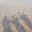 션샤인호텔 이미지