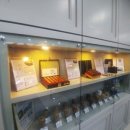 필치과병원 이미지