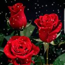 구억리-5 이미지