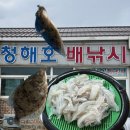 안멀구지천 | 속초바다낚시 첫 초보 바다 낚시 체험 후기 속초윤창호바다배낚시체험 배멀미 즉석회 청해호 가격