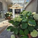 북촌진곰탕 이미지