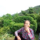 석전농장 이미지