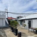 하골집 | 제주 동쪽 조천 가성비 감성 숙소 | 하골집 내돈내산 솔직 후기