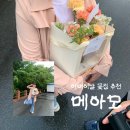메아모 | 부산 전포꽃집 메아모 어버이날 카네이션 꽃다발 추천