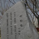 이화우 이미지