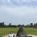 제주배럴서핑스쿨 | 제주도 서귀포 놀거리 나의 첫 서핑 도전기 중문해수욕장 제주배럴서핑스쿨