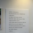 송정동김밥 이미지