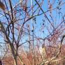 문기농장 이미지