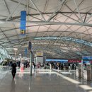 550 | [중국]연태여행 동방항공 MU550 후기｜기내식•탑승 꿀팁 공개