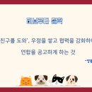 한국하브루타협회 이미지