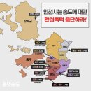 배곧도서관 이미지