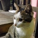 정훈동물병원 이미지